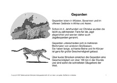 Fehlerlesen-Geparden-Lesetext-SW-1-4.pdf